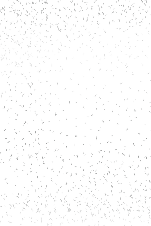 Egypt White Gold Sprinkles Sparse Scattered Rectangle